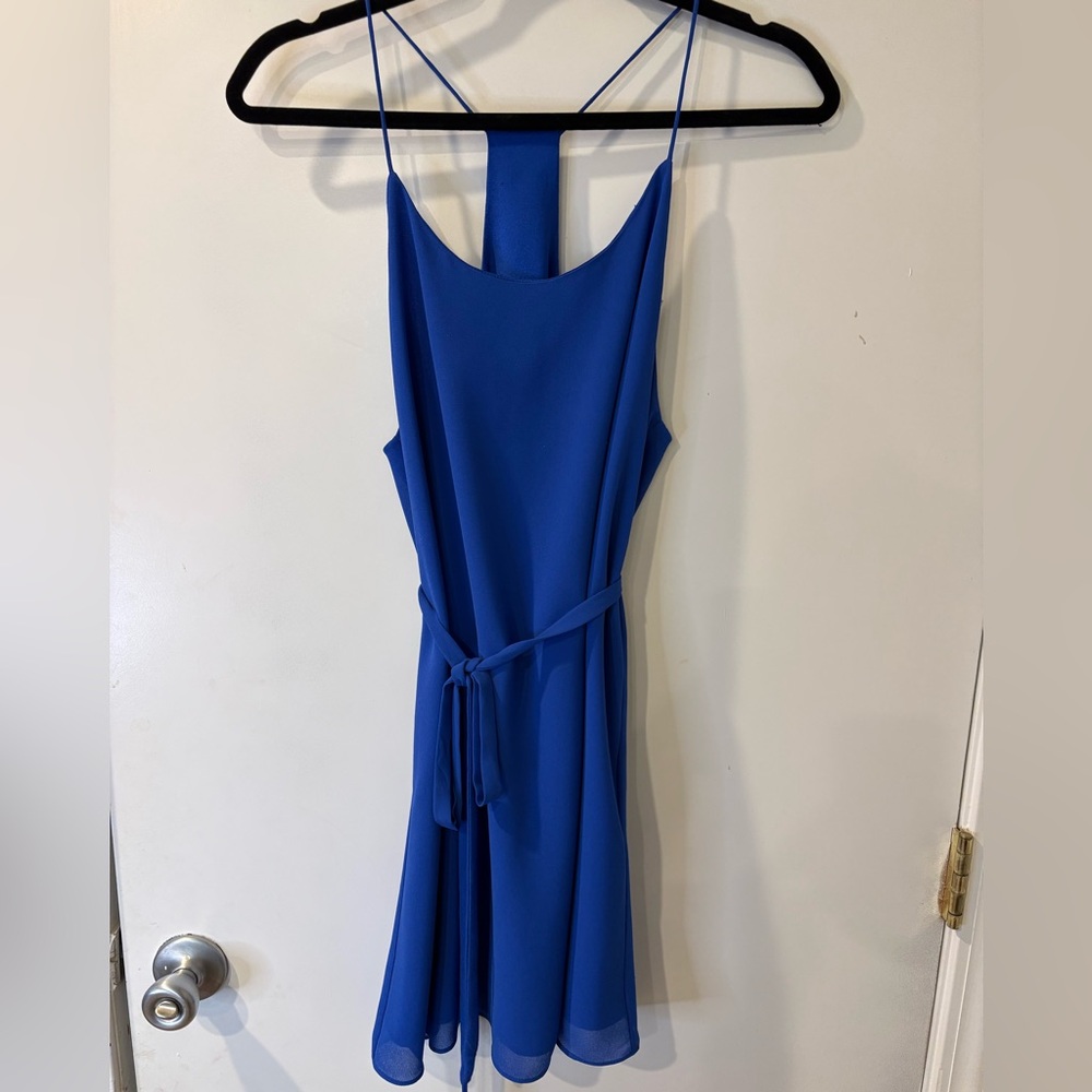 The Impeccable Pig Blue “Naked Zebra” Tie Waist Shift Dress | Size M